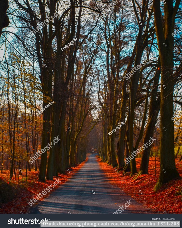 Tranh dán tường phong cảnh con đường mùa thu T321-208